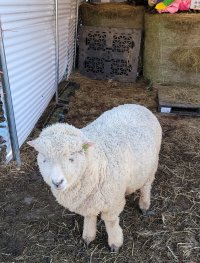 20210224_165219.jpg 20210224_165219.jpg