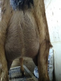 IMG_20210221_202326768.jpg IMG_20210221_202326768.jpg