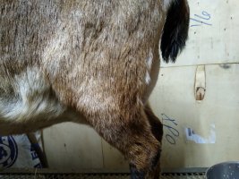 IMG_20210218_194308015.jpg IMG_20210218_194308015.jpg