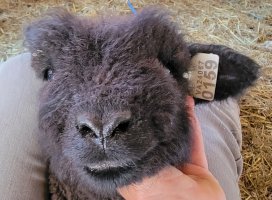 20210420_124518.jpg 20210420_124518.jpg