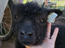 20210420_142342.jpg 20210420_142342.jpg