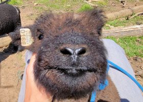 20210420_120937.jpg 20210420_120937.jpg