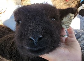 20210420_115218.jpg 20210420_115218.jpg