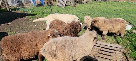 Screenshot_20210420-180025_Video Player.jpg Screenshot_20210420-180025_Video Player.jpg