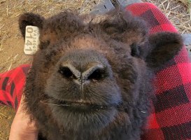 20210421_102824.jpg 20210421_102824.jpg