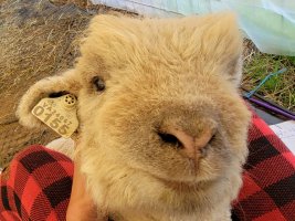 20210421_102704.jpg 20210421_102704.jpg