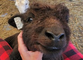 20210421_102405.jpg 20210421_102405.jpg