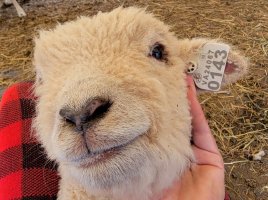 20210421_101837.jpg 20210421_101837.jpg