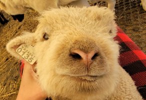 20210421_101311.jpg 20210421_101311.jpg