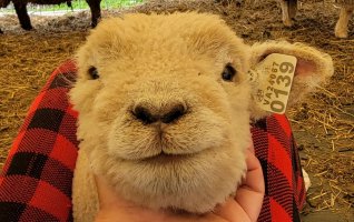 20210421_101042.jpg 20210421_101042.jpg