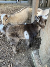 D35AB0DB-49B8-4BB1-91B0-B76207EE473E.jpeg