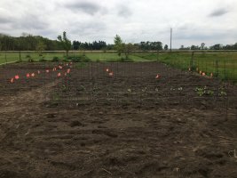 IMG_6331.JPG IMG_6331.JPG