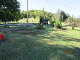 Garden3 9 Sep 2021.JPG