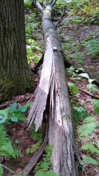 IMG_20210917_105633709.jpg IMG_20210917_105633709.jpg