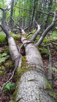 IMG_20210917_105649376.jpg IMG_20210917_105649376.jpg