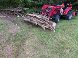 IMG_0437.jpeg IMG_0437.jpeg