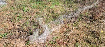 20211017_111556.jpg 20211017_111556.jpg