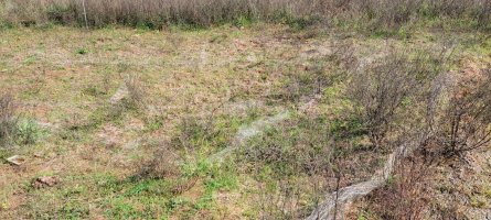 20211017_111558.jpg 20211017_111558.jpg