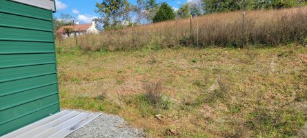 20211017_111600.jpg 20211017_111600.jpg