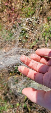 20211017_111608.jpg 20211017_111608.jpg