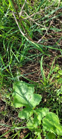 20211017_111656.jpg 20211017_111656.jpg