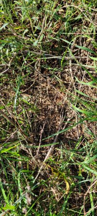 20211017_111700.jpg 20211017_111700.jpg