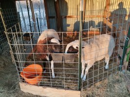 20220208_073330.jpg 20220208_073330.jpg