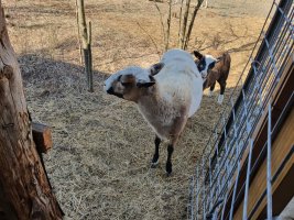 20220227_101659.jpg 20220227_101659.jpg