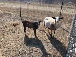 20220227_101852.jpg 20220227_101852.jpg