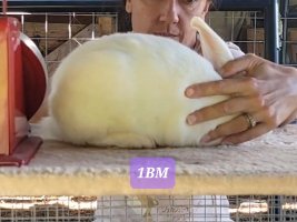 Screenshot_20220711-124018_Video Player.jpg Screenshot_20220711-124018_Video Player.jpg