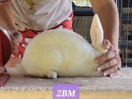 Screenshot_20220711-121852_Video Player.jpg Screenshot_20220711-121852_Video Player.jpg