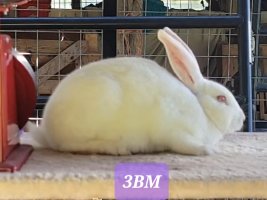 Screenshot_20220711-121939_Video Player.jpg Screenshot_20220711-121939_Video Player.jpg