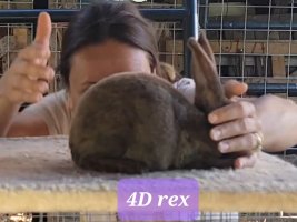 Screenshot_20220711-122114_Video Player.jpg Screenshot_20220711-122114_Video Player.jpg