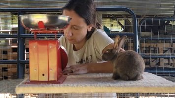 Screenshot_20220711-122135_Video Player.jpg Screenshot_20220711-122135_Video Player.jpg