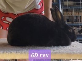 Screenshot_20220711-122243_Video Player.jpg Screenshot_20220711-122243_Video Player.jpg