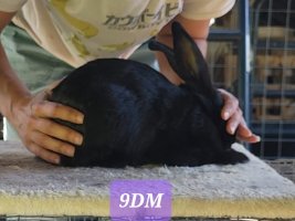 Screenshot_20220711-173309_Video Player.jpg Screenshot_20220711-173309_Video Player.jpg