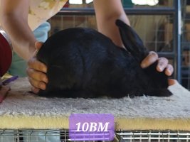 Screenshot_20220711-173340_Video Player.jpg Screenshot_20220711-173340_Video Player.jpg