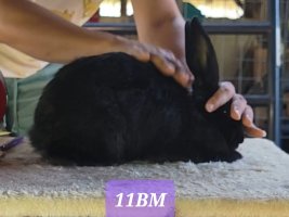 Screenshot_20220711-173419_Video Player.jpg Screenshot_20220711-173419_Video Player.jpg