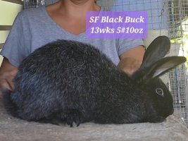 Screenshot_20220713-174945_Video Player.jpg Screenshot_20220713-174945_Video Player.jpg