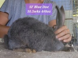 Screenshot_20220713-175216_Video Player.jpg Screenshot_20220713-175216_Video Player.jpg