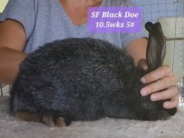 Screenshot_20220713-175113_Video Player.jpg Screenshot_20220713-175113_Video Player.jpg