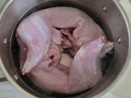 20220714_122739.jpg 20220714_122739.jpg