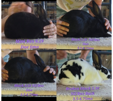 Video Collage Maker_Y5xYGS.png Video Collage Maker_Y5xYGS.png