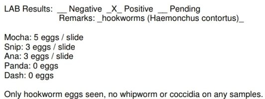 Screenshot_20220916-234822_Drive~2.jpg Screenshot_20220916-234822_Drive~2.jpg