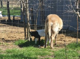 20230304_111141.jpg 20230304_111141.jpg