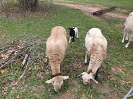 20230308_121342.jpg 20230308_121342.jpg