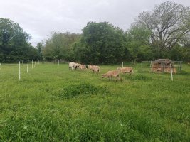 20230407_075556.jpg 20230407_075556.jpg