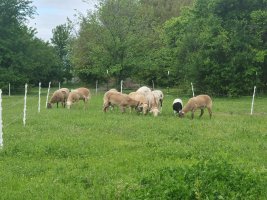 20230407_075714.jpg 20230407_075714.jpg