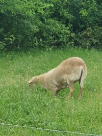 20230408_083055.jpg 20230408_083055.jpg