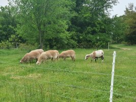 20230408_082625.jpg 20230408_082625.jpg